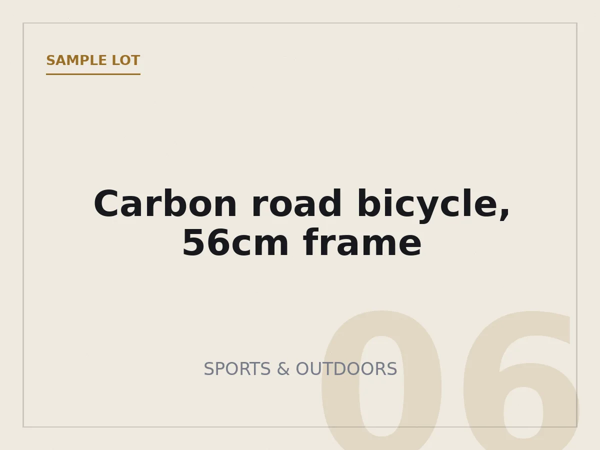 Carbon road bicycle, 56cm frame